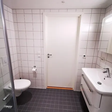 Appartement Koselig Leilighet Til Leie Under Ski-vm 2025 *